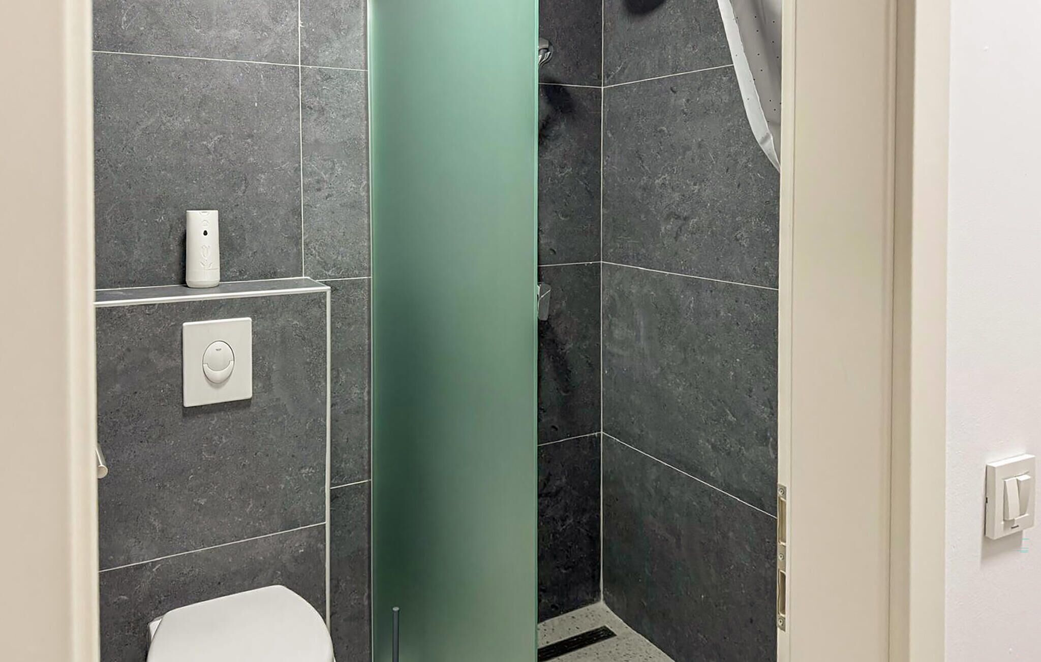 Ein Badezimmer mit dunklen Fliesen, einer Toilette, einer Dusche und einer grünen Akzentwand.
