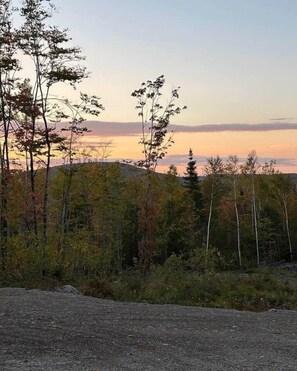 Miscellaneous - Camp in the woods. Foliage/Wildlife/ATV/Fish/Hunt (Lincoln)