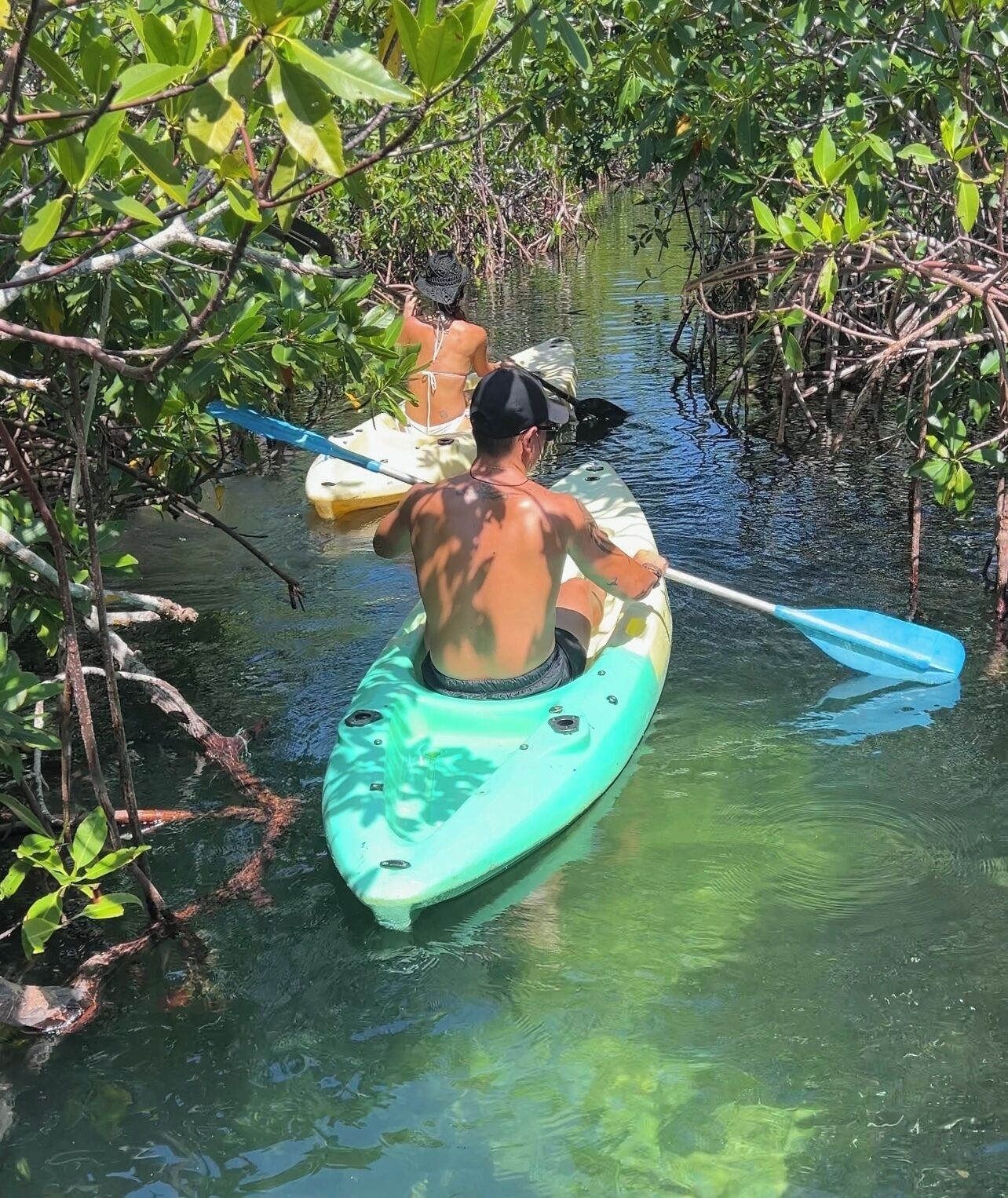 Une personne pratiquant le kayak dans un cours d’eau étroit, bordé d’une végétation dense de mangroves.