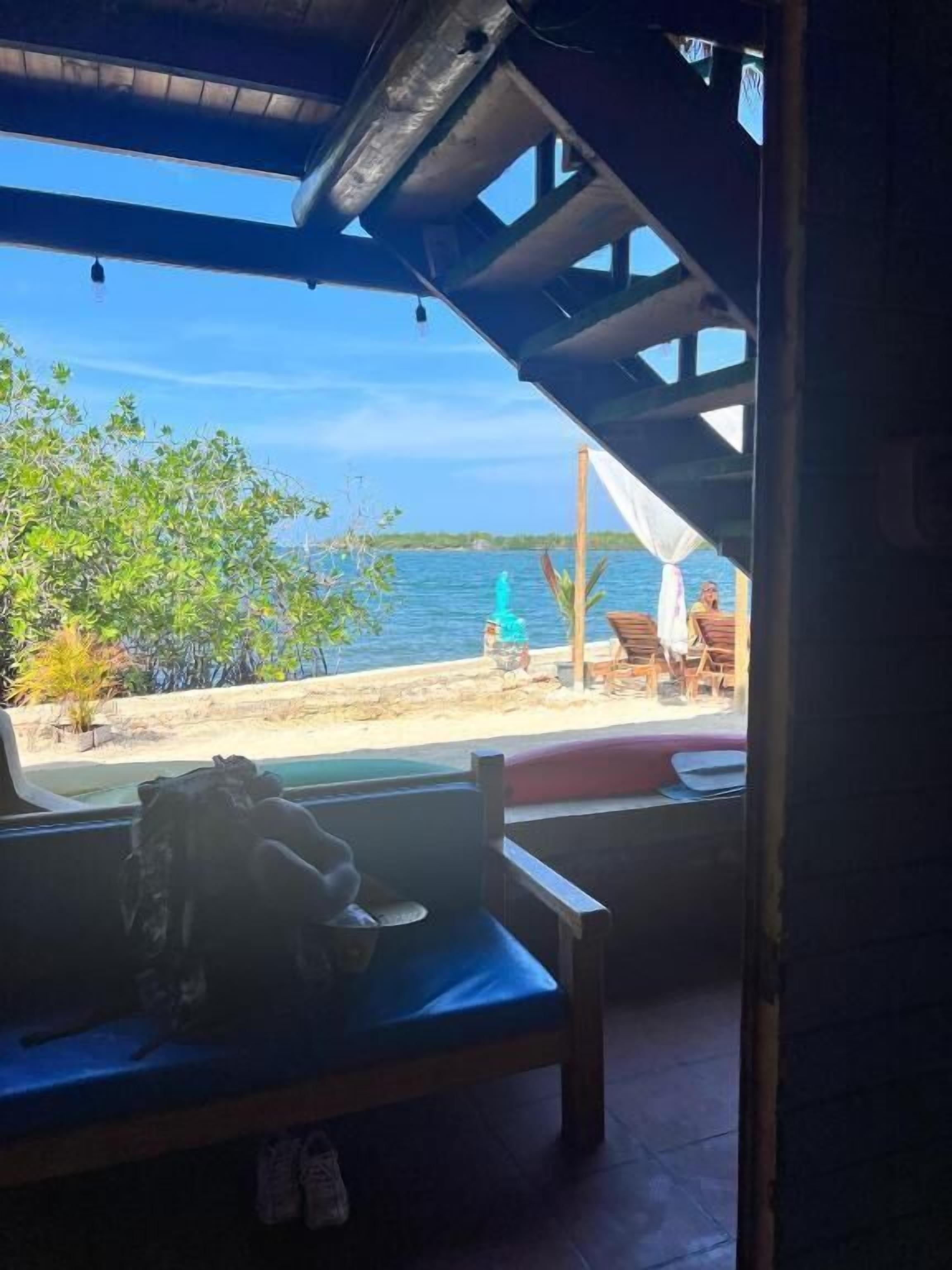 エコノミー 共同ドミトリー ガーデンビュー