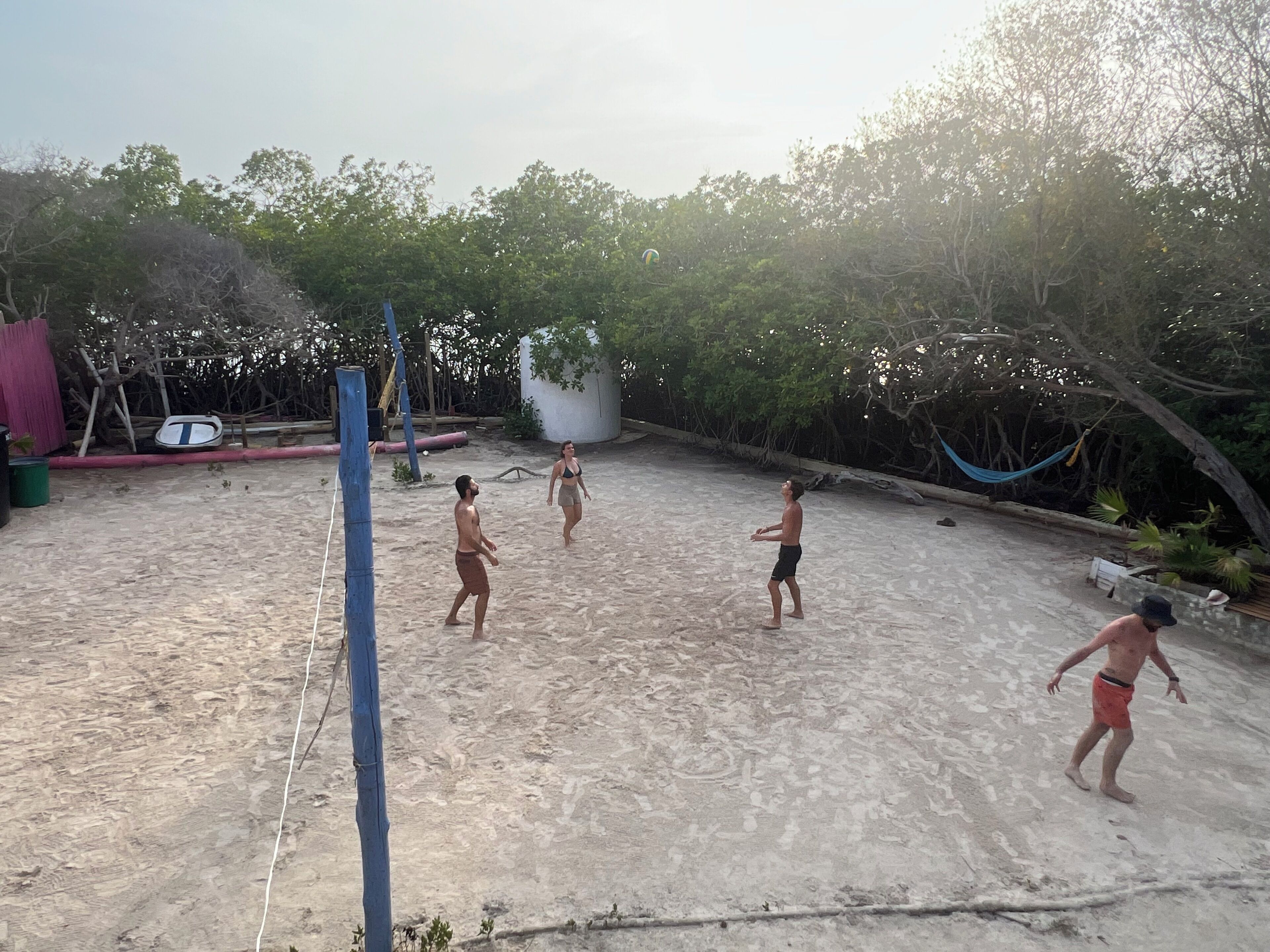 A sandy outdoor area with a volleyball net, trees, and a hammock.