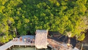 A clear blue pool with a thatched-roof structure and a small deck with chairs. - El Arca (Isla Tintipán)