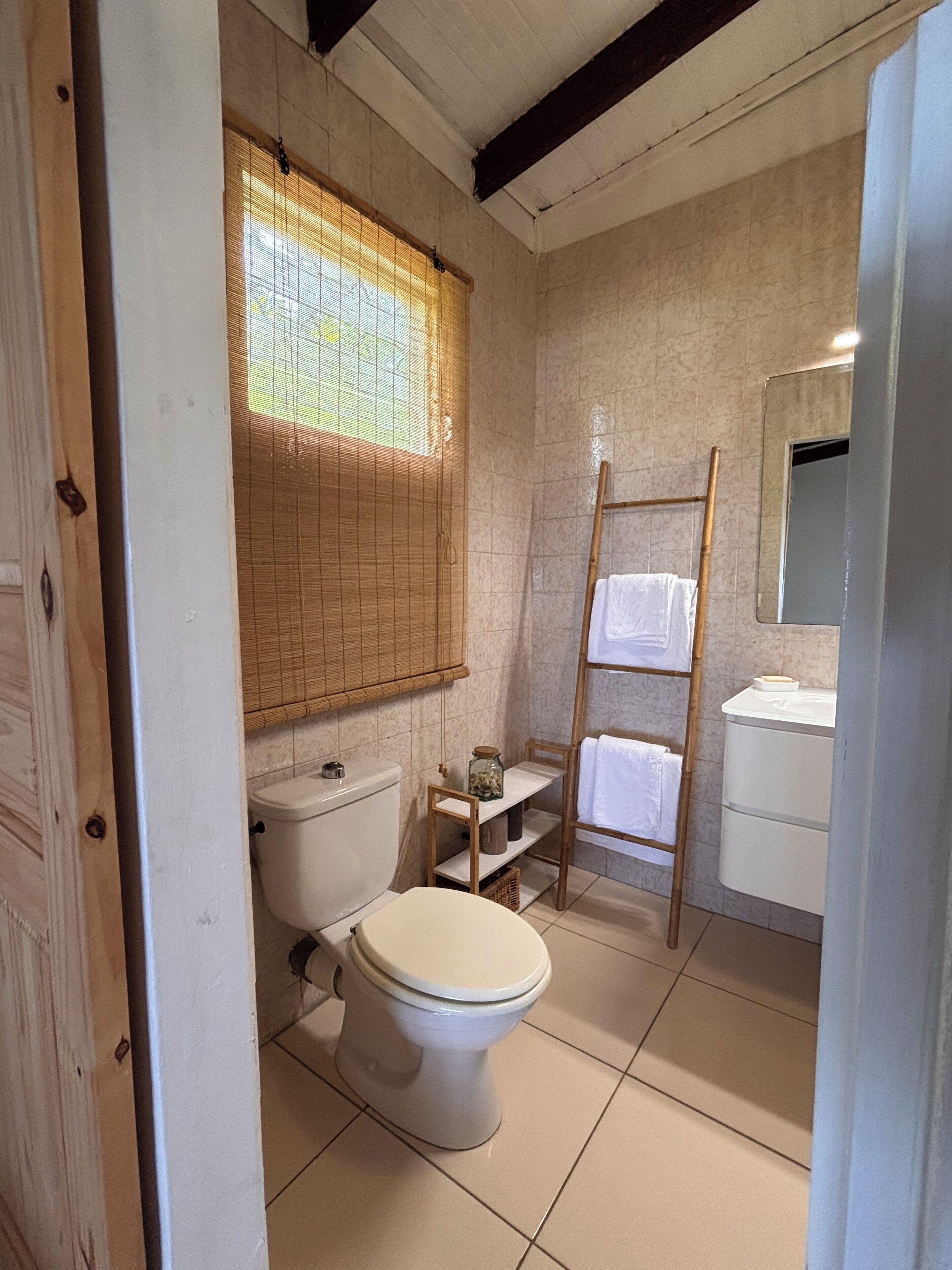 Un baño con inodoro, un estante con un frasco, una escalera y un espejo.