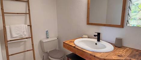A bathroom with a wooden vanity, a toilet, a ladder, and a mirror.