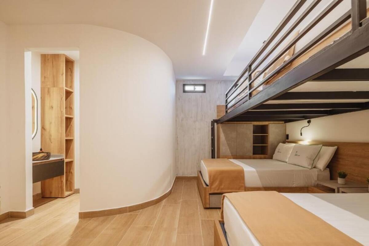 A modern bedroom with a bunk bed, a bedside table, a small bedside plant, and a wooden shelving unit.