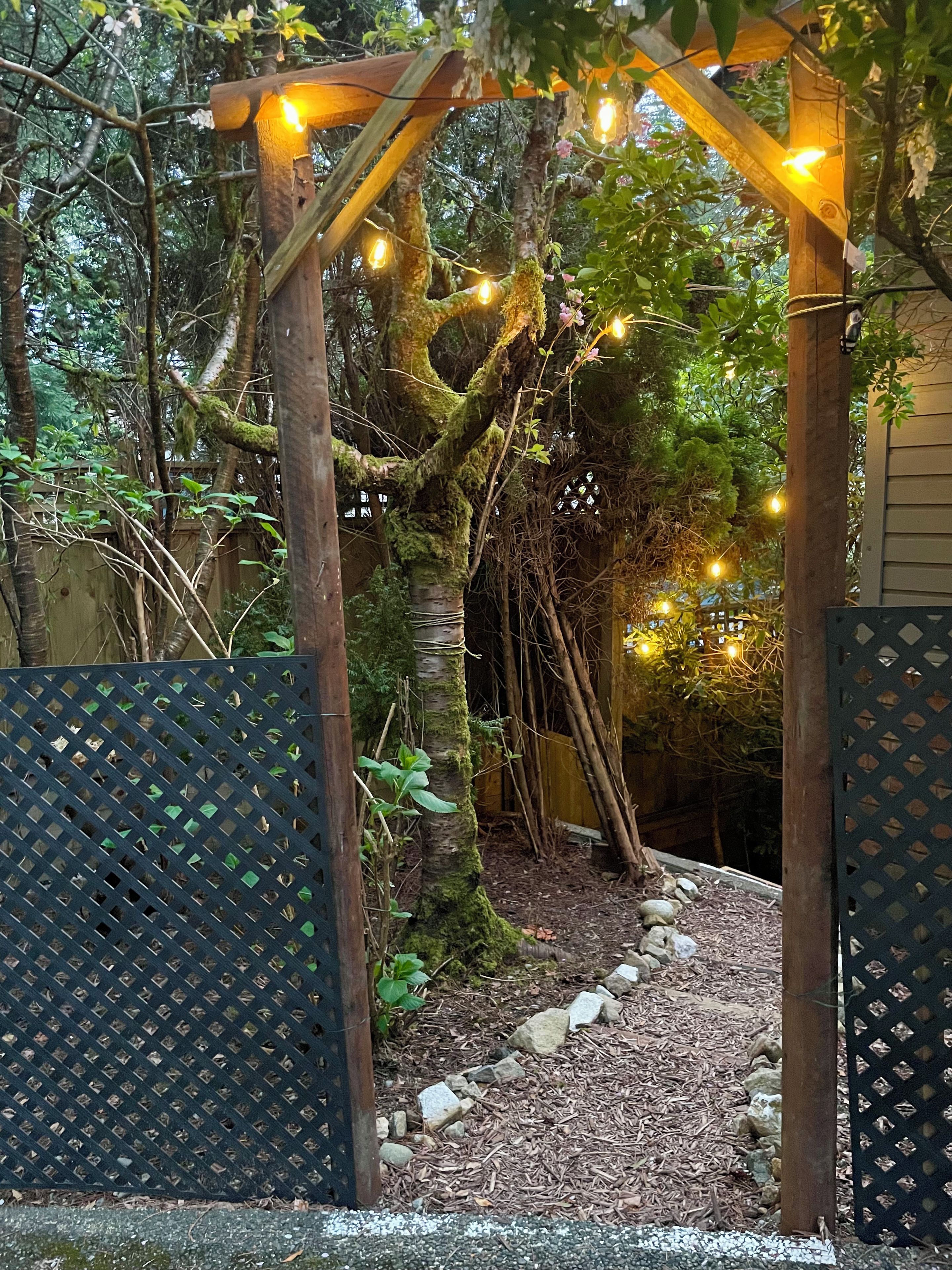 En træpergola med lyskæder, omgivet af træer og en grussti.