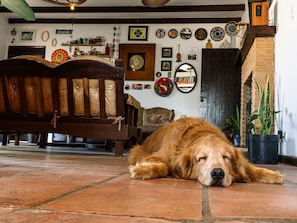 A dog lying on a tiled floor in a room with a wooden bench, a brick wall, and various wall decorations. - HOSTEL QUINTAL GUEST - Guarujá (Guarujá)