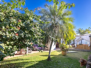 Vista desde la habitación
