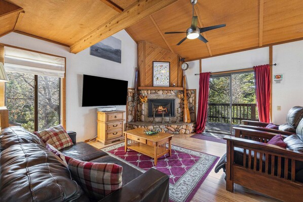 Televisión, chimenea, reproductor de DVD y oficina 