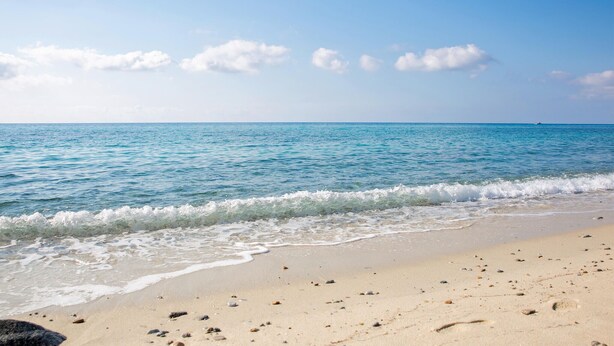 A beach with clear skies and calm waters. - Nice home in San Teodoro (San Teodoro)