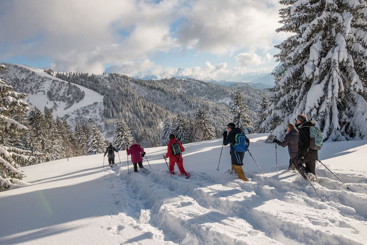 Eine Gruppe von Personen beim Skifahren auf einem verschneiten Berghang mit bewaldeter Landschaft und Bergen im Hintergrund.