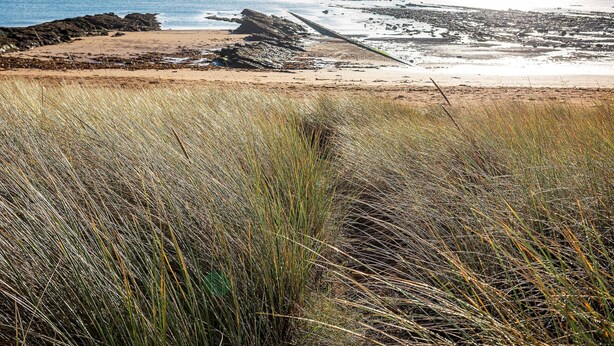 Et kystlandskab med sandstrand, klippeformationer og græsdyner.