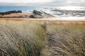 Ett kustlandskap med en sandstrand, klippiga utskjutande partier och gräsklädda sanddyner.
