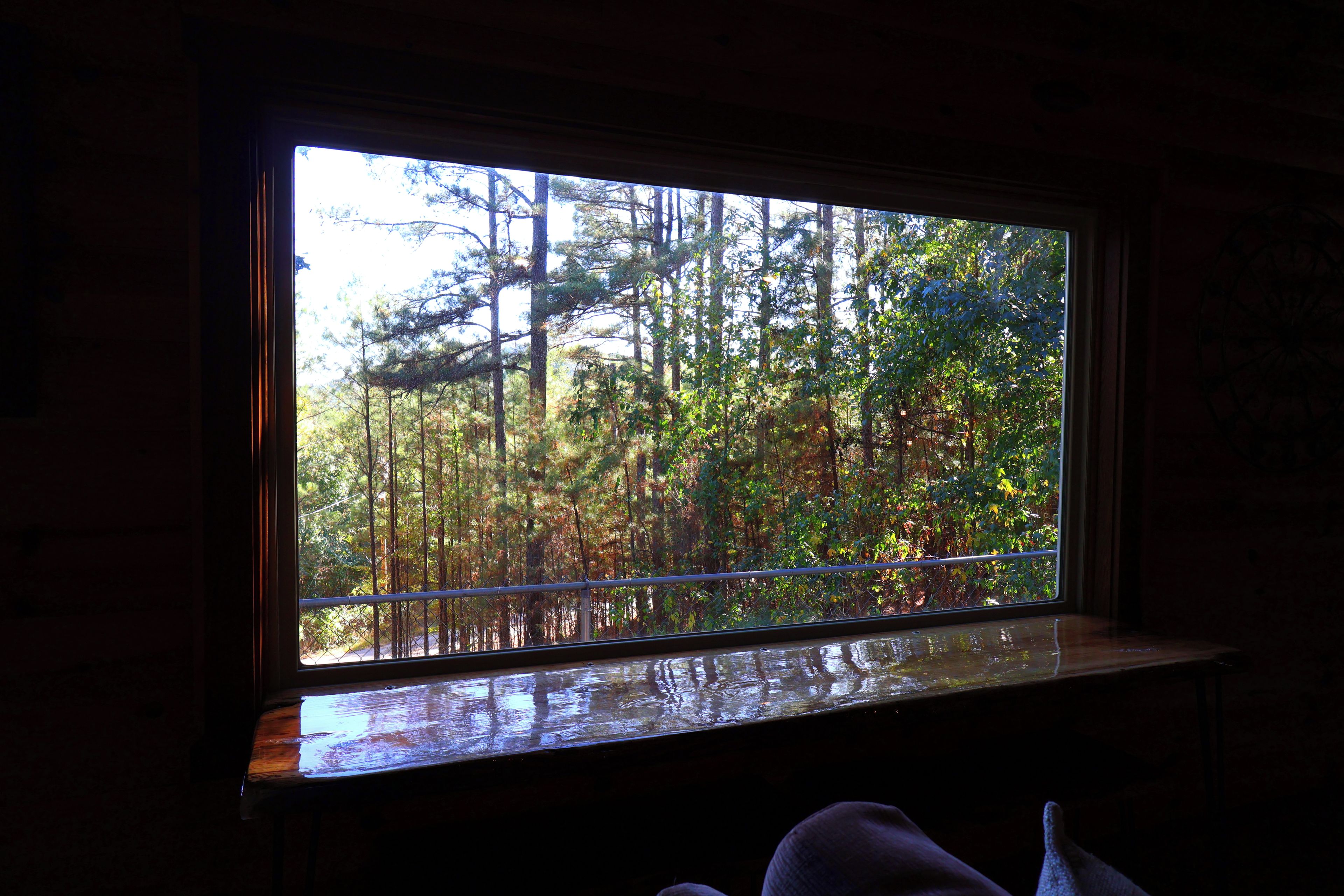 Una ventana con vistas a un bosque.
