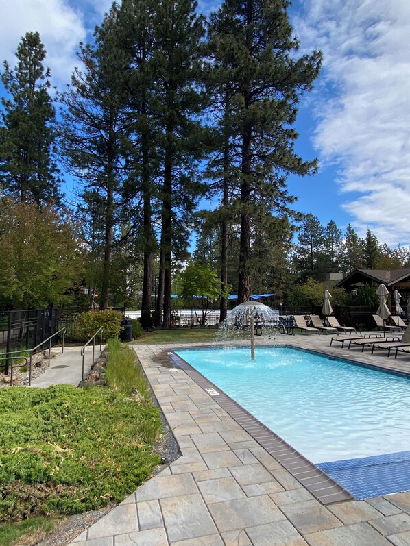 Une piscine dotée d’une plage en pierre, entourée de grands arbres et de chaises longues.