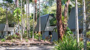 A row of modern, single-story buildings with a sloped roof, surrounded by dense tropical vegetation.