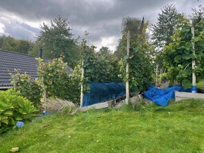 A garden with grapevines, a blue tarp, and a house with a dark roof. - Holiday oasis with terrace and sloping garden (Tikøb)