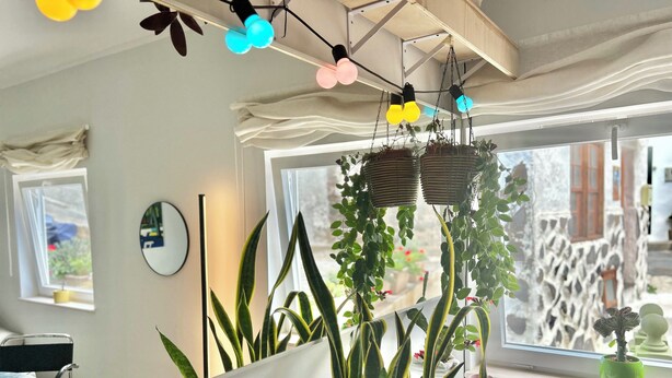 Een kamer met een groot raam, een potplant en hanglampen.
