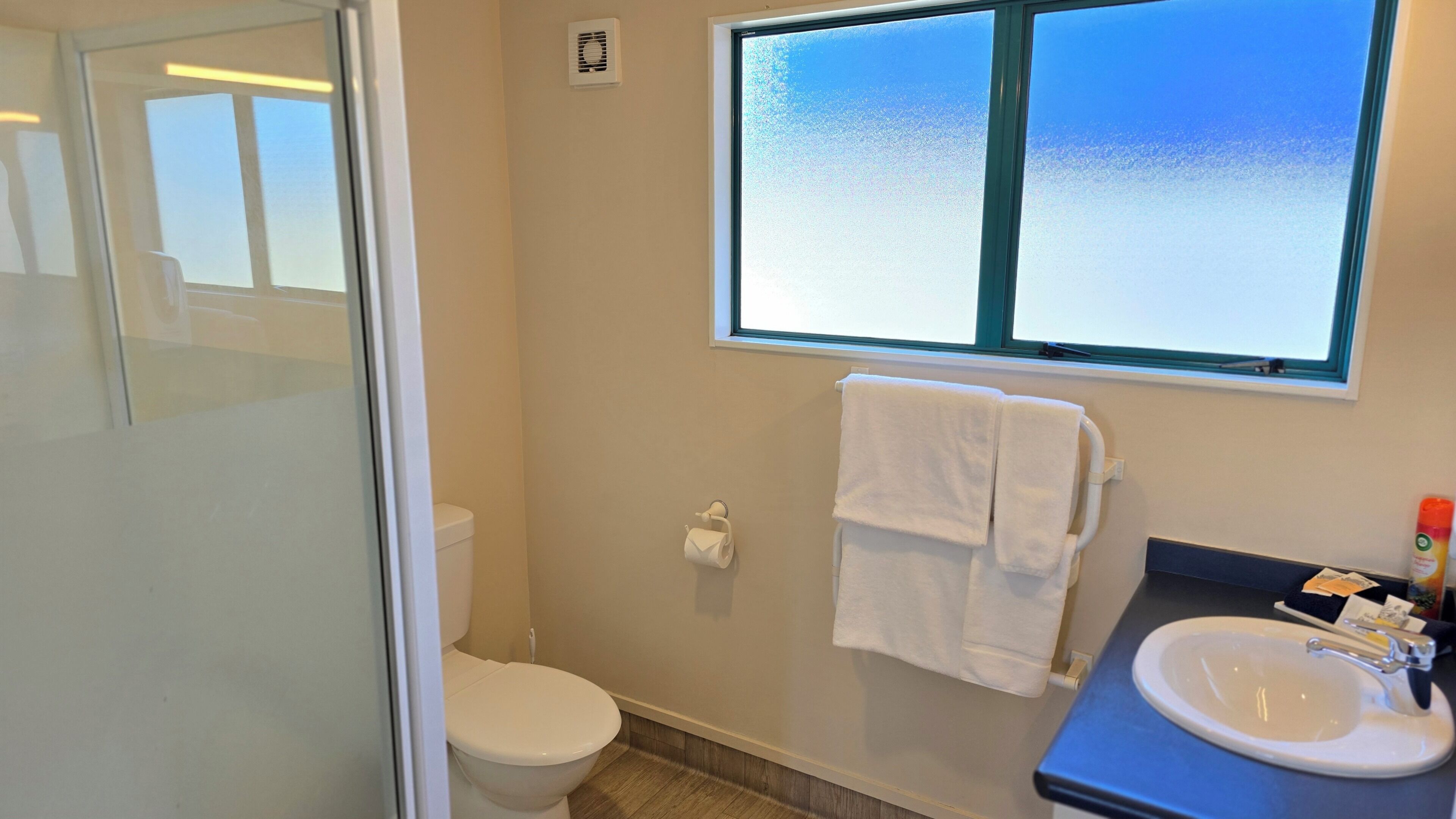 Een badkamer met toilet, wastafel, raam met uitzicht en een handdoekhouder.