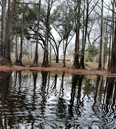 “Ferrand’s Island” Louisiana Riverfront Retreat. A Nature Lover’s Dream.