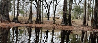 “Ferrand’s Island” Louisiana Riverfront Retreat. A Nature Lover’s Dream.