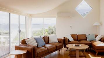 Télévision, cheminée, écrans d'ordinateur