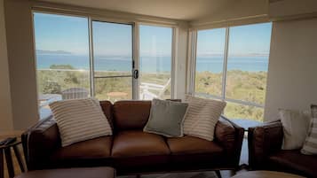 Télévision, cheminée, écrans d'ordinateur