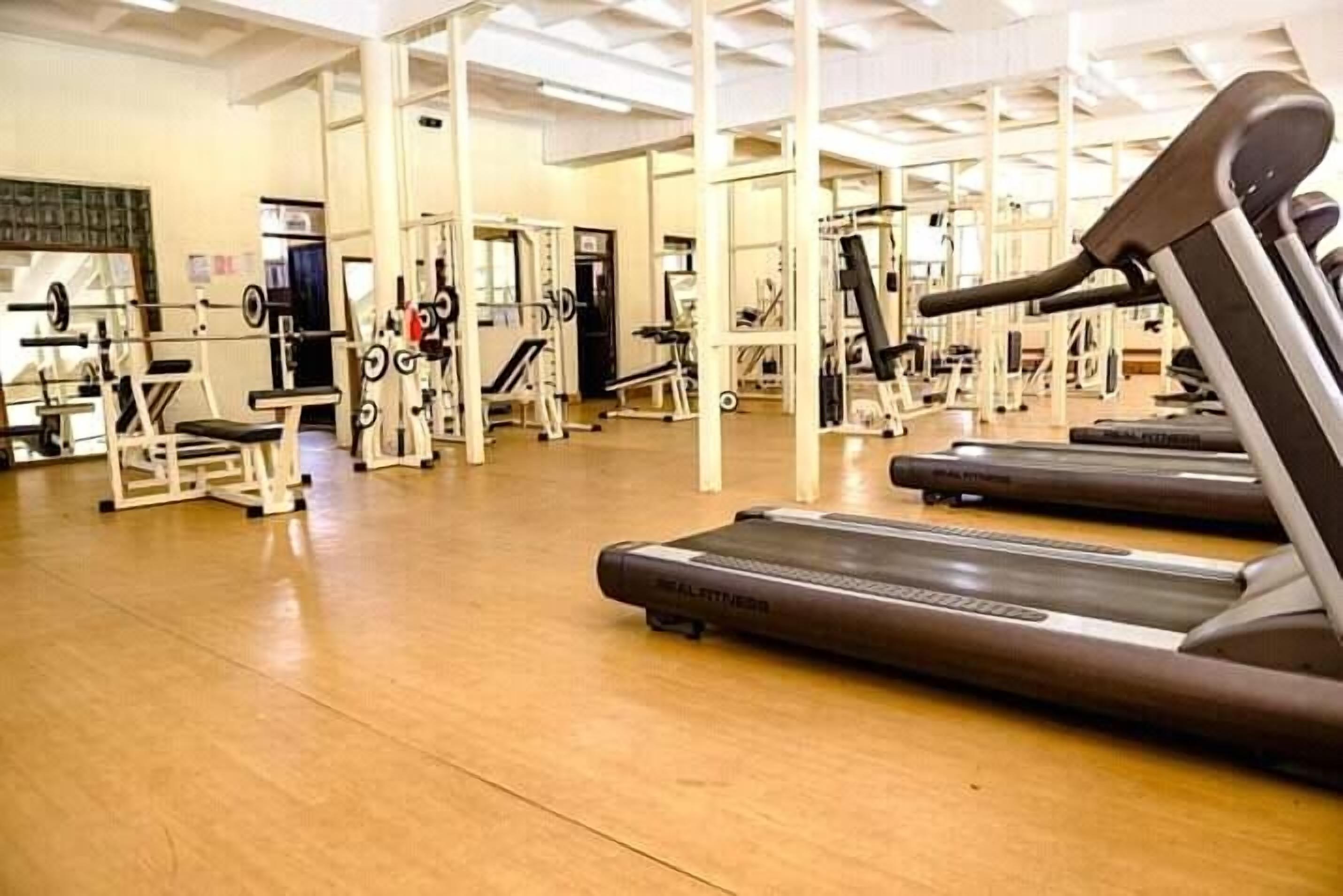 A gym with treadmills, weight machines, and free weights.