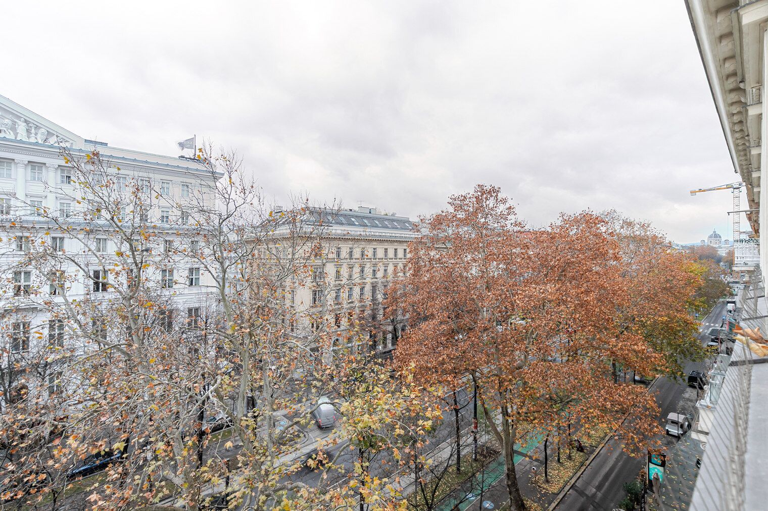 A view of a cityscape with autumn-colored trees and historic buildings.