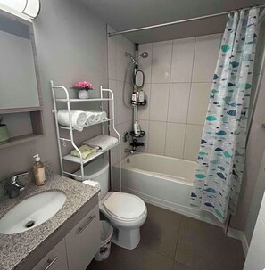 Hair dryer, bidet, towels, soap