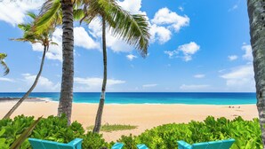 A beach with turquoise chairs and palm trees.