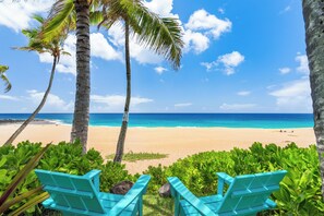 Playa en los alrededores 