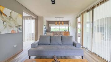 TV, fireplace, offices