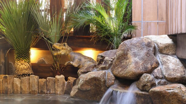 Jardín de rocas con una pequeña cascada, rodeado de piedras grandes y plantas tropicales.