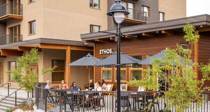 Oso Skyview Suite - DT modern 2 bed, 2 bath