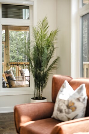 Televisio, takka, pöytätennispöytä, kirjoja