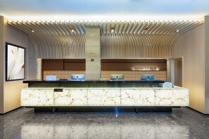 منطقة الاستقبال