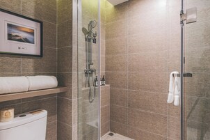 Shower, free toiletries, hair dryer, towels