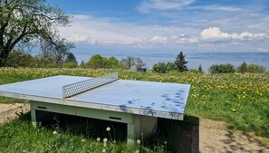 Àrea exterior de l'allotjament