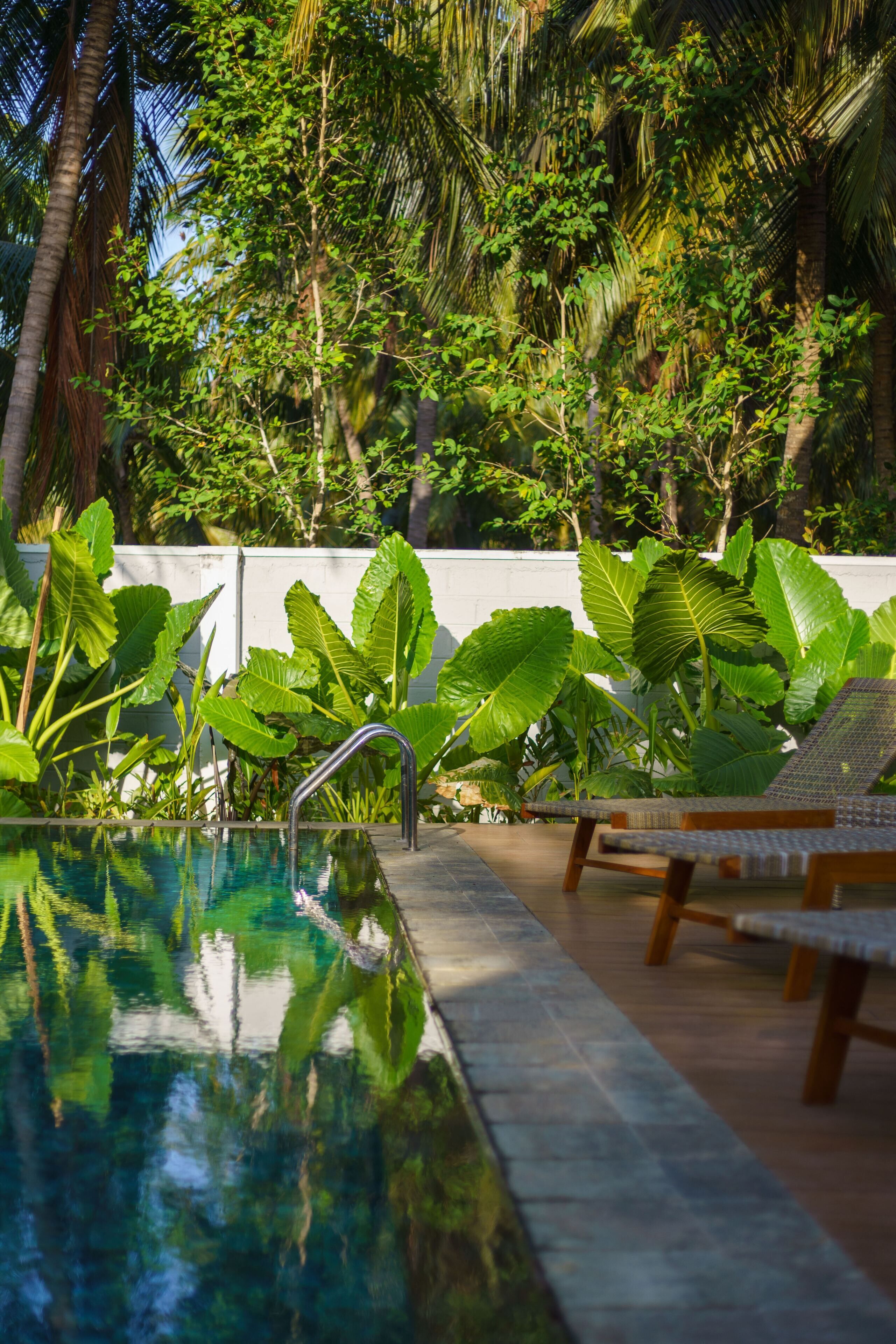 A swimming pool with lounge chairs and tropical plants.