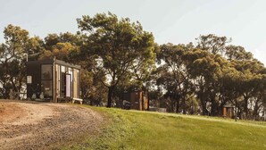 A rustic cabin with a dirt path leading to it, surrounded by dense trees.