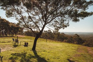 A grassy hill with a large tree in the foreground, a picnic table, and chairs on the left.