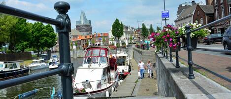 House | View from property