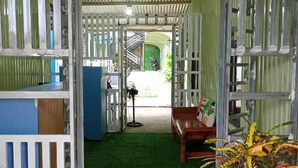 Une pièce dotée d’un sol recouvert d’un gazon synthétique vert, d’un banc en bois et d’une plante en pot.