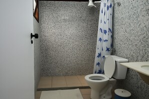 Douche, séchoir à cheveux, serviettes fournies, savon