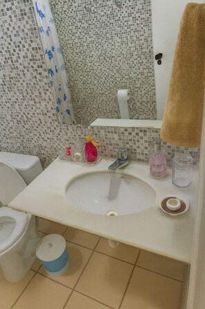 Ducha, secador de pelo, toallas, jabón