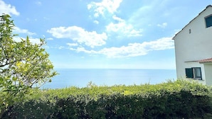 Blick auf die Küste mit einem weißen Gebäude und einem Baum im Vordergrund.