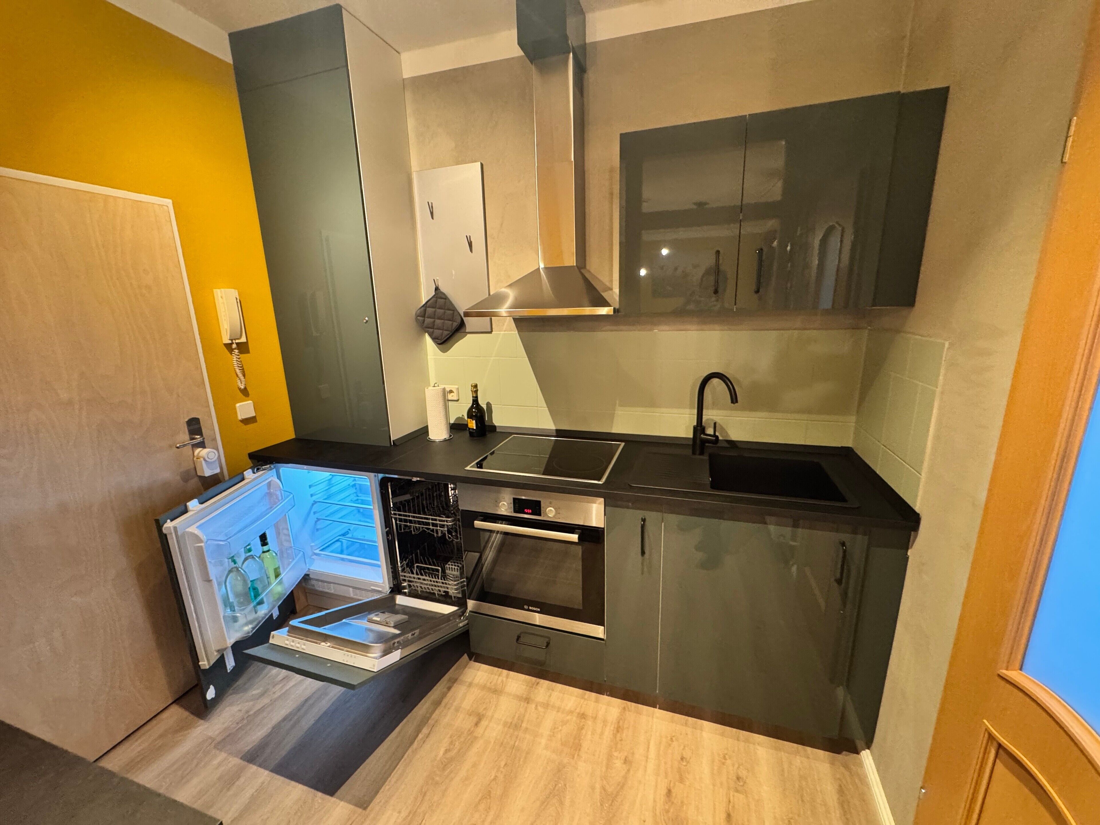 Fridge, oven, stovetop, dishwasher