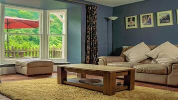 Smart TV, fireplace, DVD player, books