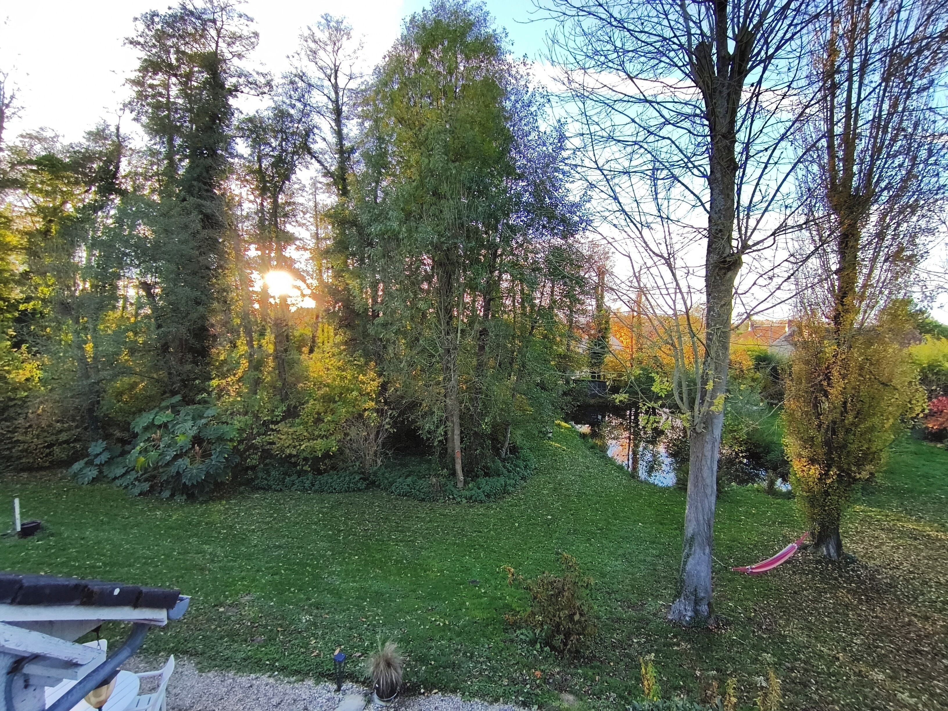 Een tuin met een bankje, bomen en een klein vijvertje.